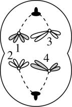 试题资源网 https://stzy.com