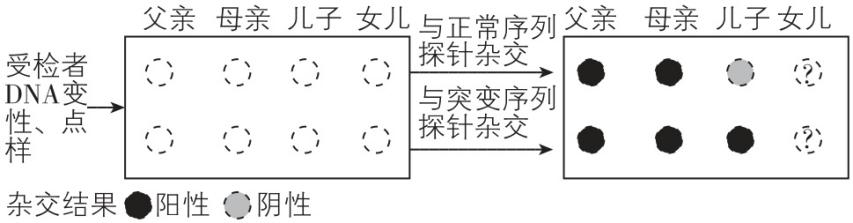 试题资源网 https://stzy.com