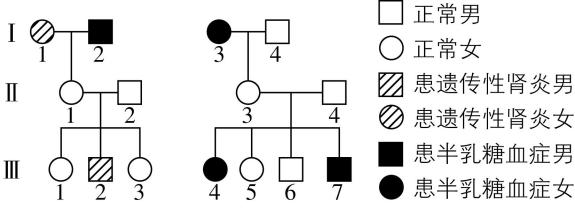 试题资源网 https://stzy.com