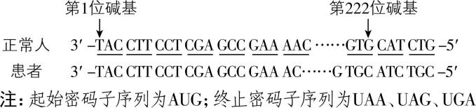 试题资源网 https://stzy.com