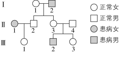 试题资源网 https://stzy.com