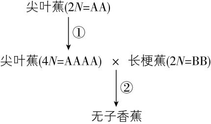 试题资源网 https://stzy.com