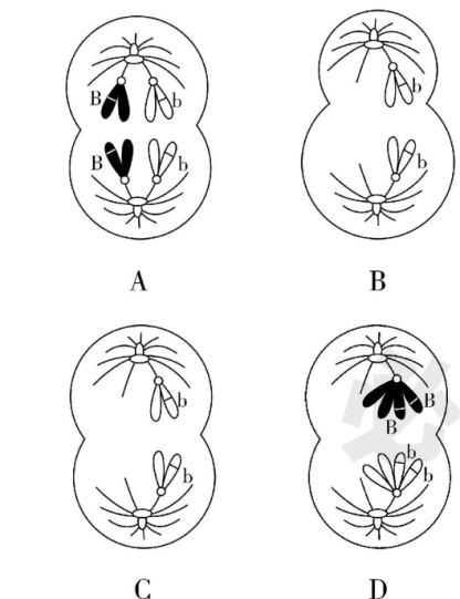 试题资源网 https://stzy.com