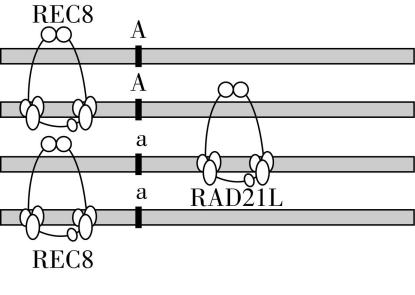 试题资源网 https://stzy.com