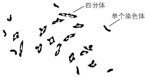 试题资源网 https://stzy.com