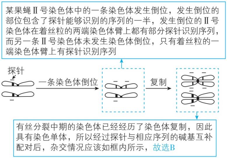试题资源网 https://stzy.com