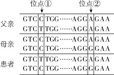 试题资源网 https://stzy.com