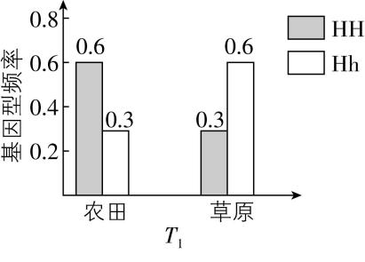 试题资源网 https://stzy.com