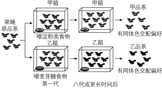 试题资源网 https://stzy.com