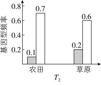 试题资源网 https://stzy.com