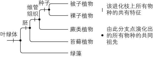 试题资源网 https://stzy.com