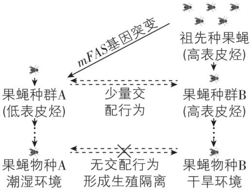 试题资源网 https://stzy.com
