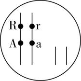 试题资源网 https://stzy.com